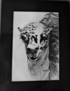DeHoff Arts- copy writes apply